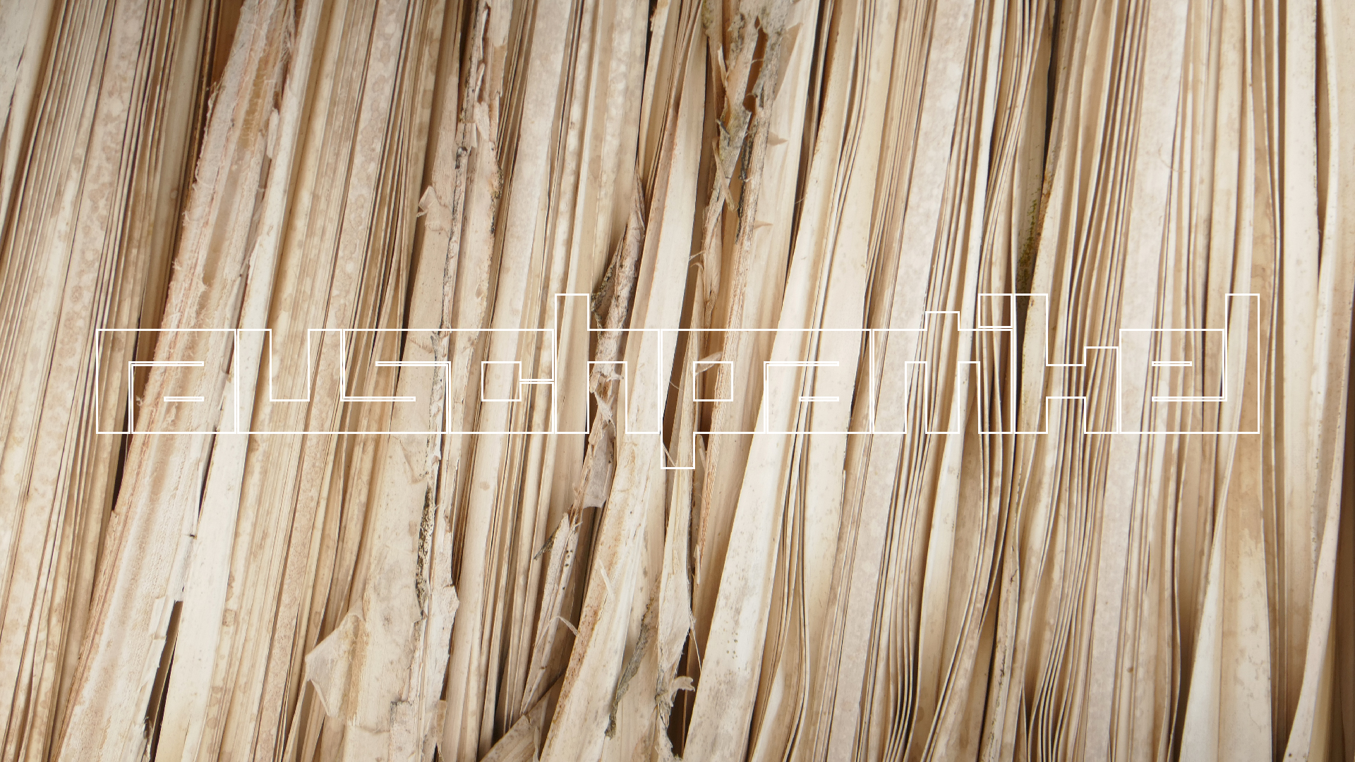 2022-10-29 13 Uhr 27 Playa Kalki (Foto, Video)